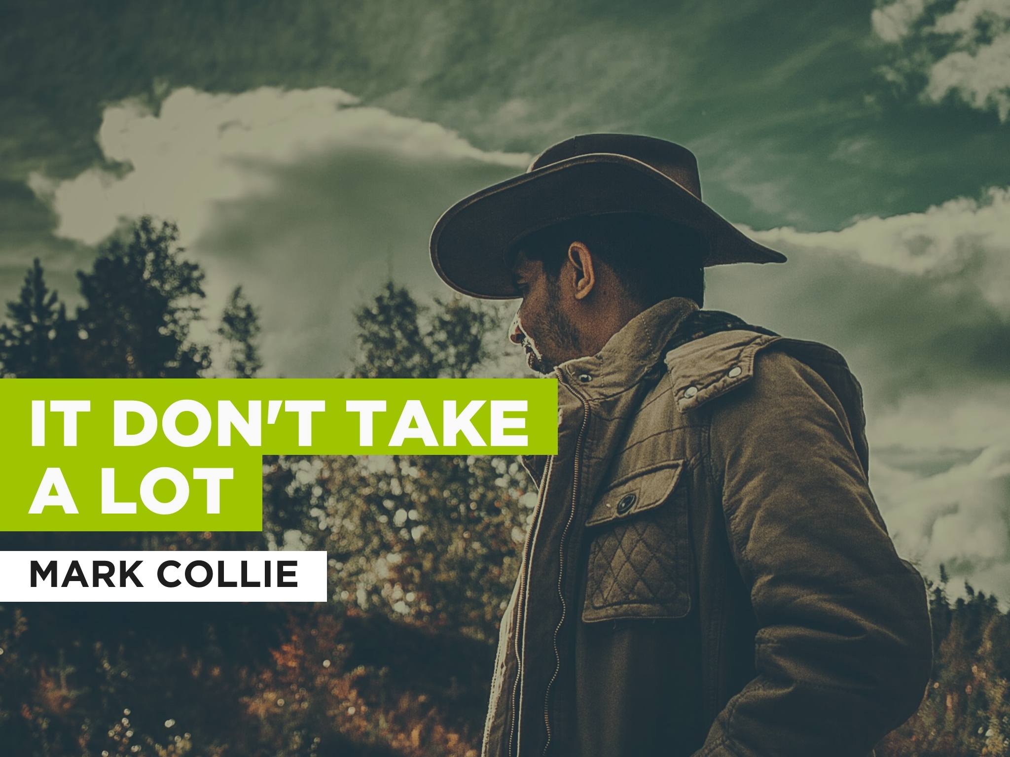 Prime Video It Don T Take A Lot Al Estilo De Mark Collie