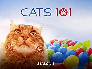 Prime Video: Cats 101 - Season 1