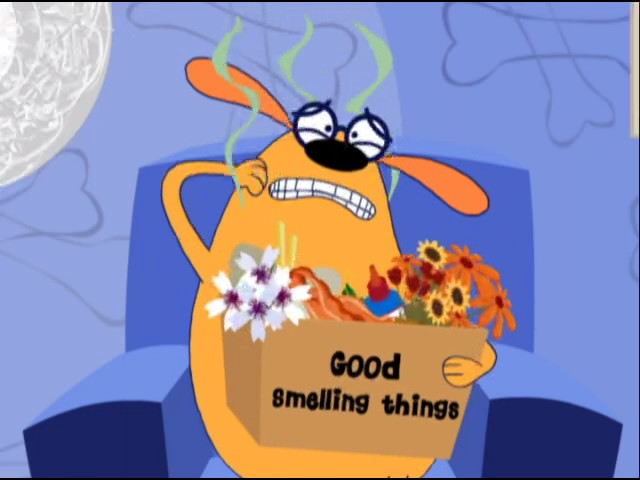 Prime Video: Fetch! With Ruff Ruffman Season 3