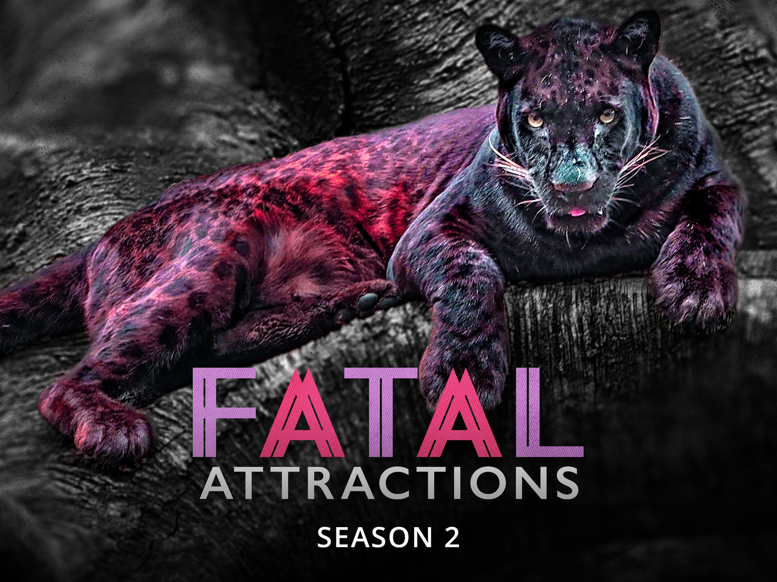 Prime Video Fatal Attractions Season 2