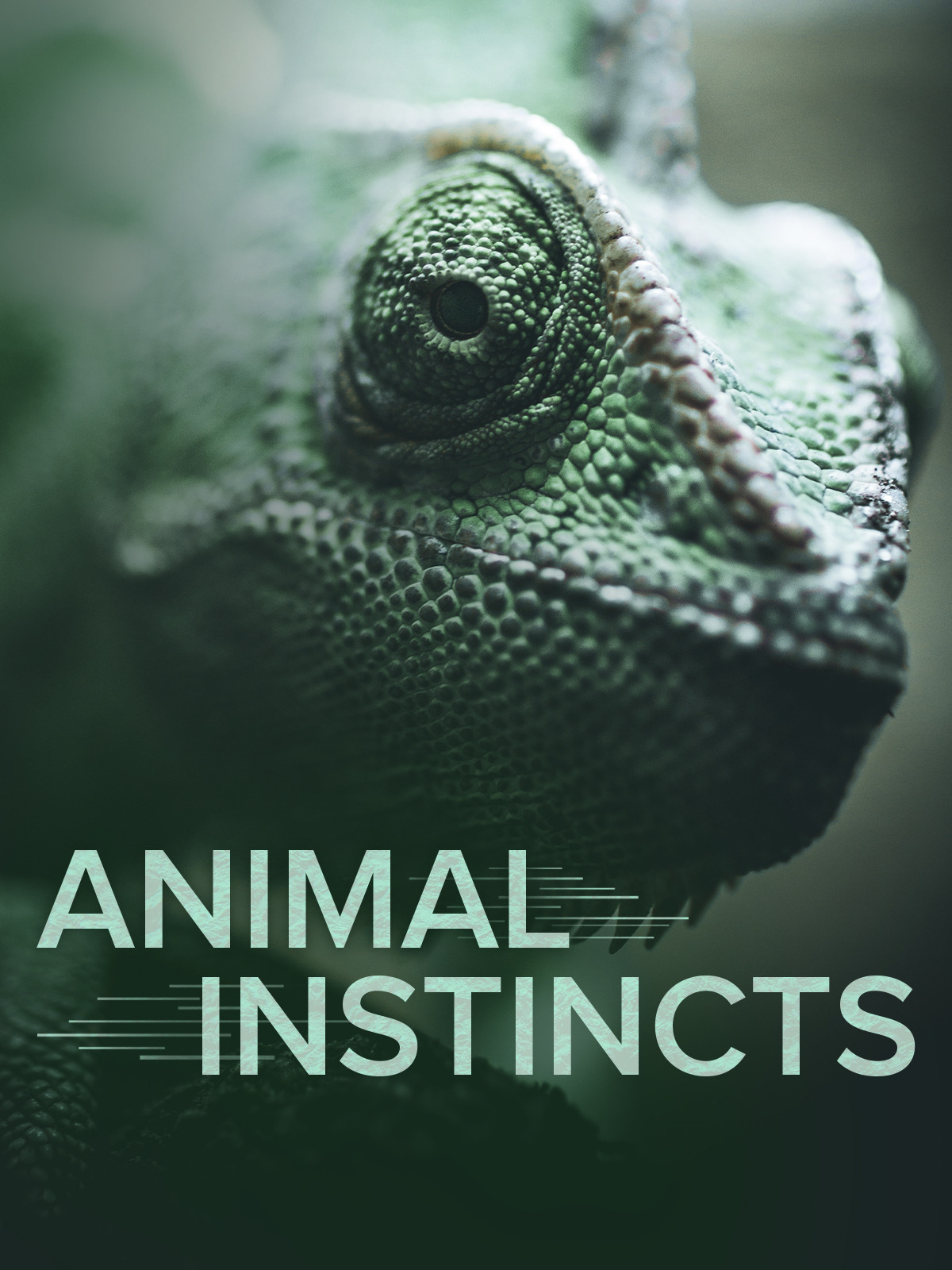 prime-video-animal-instincts-season-1
