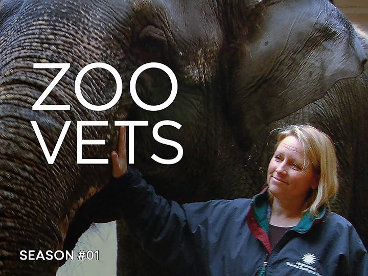 Prime Video Zoo Vets Season 1