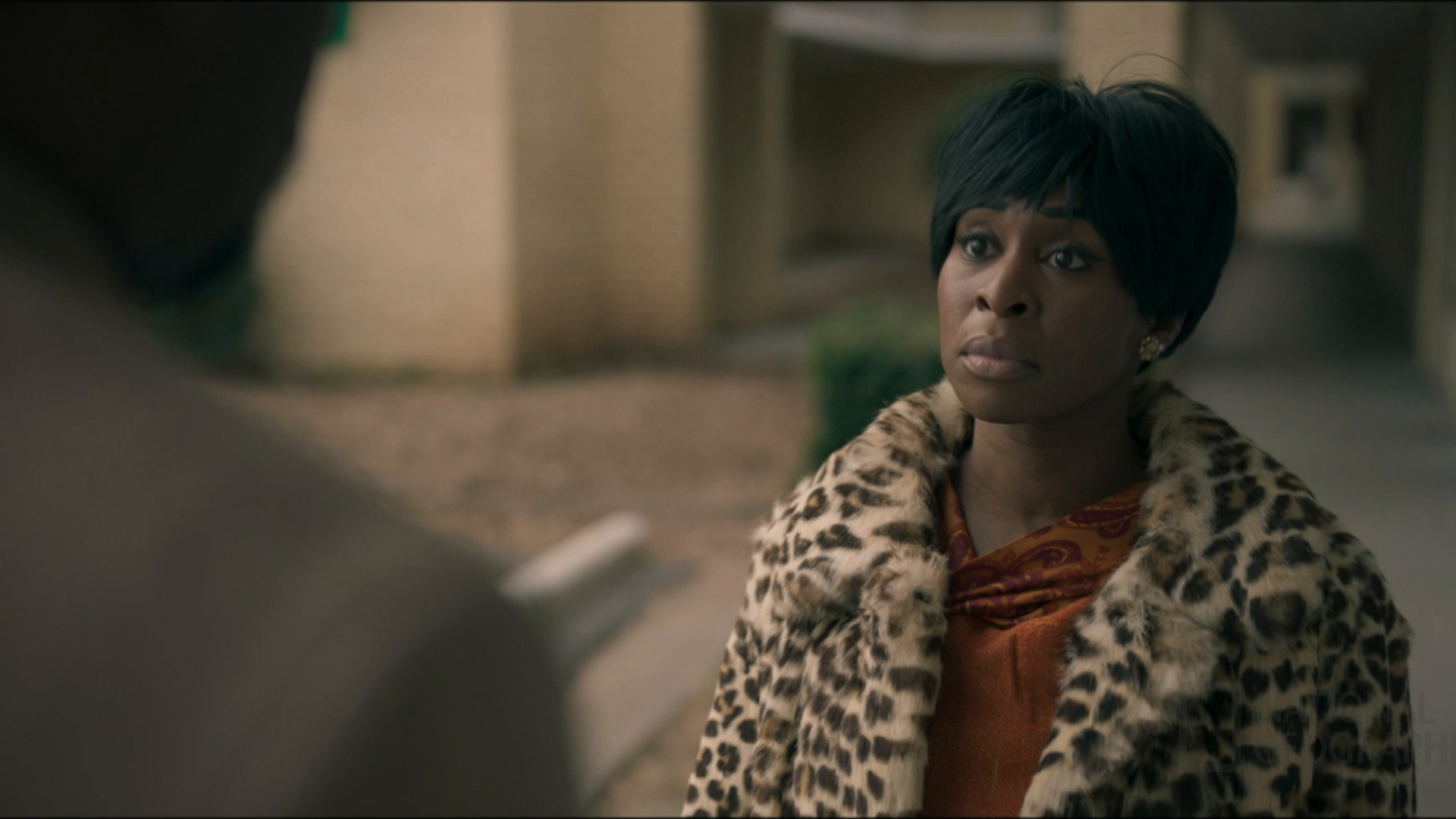 Prime Video: Genius: Aretha Franklin - Season 1