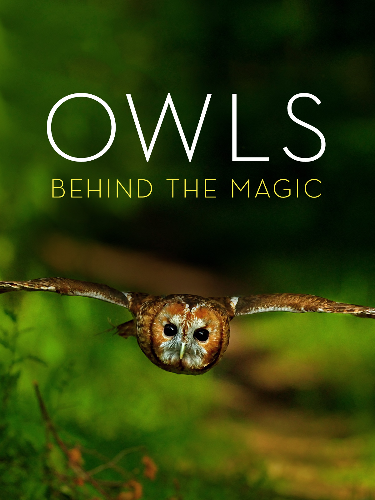 Prime Video Owls Behind the Magic