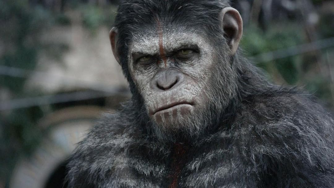 Amazon Co Jp 猿の惑星 新世紀 ライジング 字幕版 を観る Prime Video