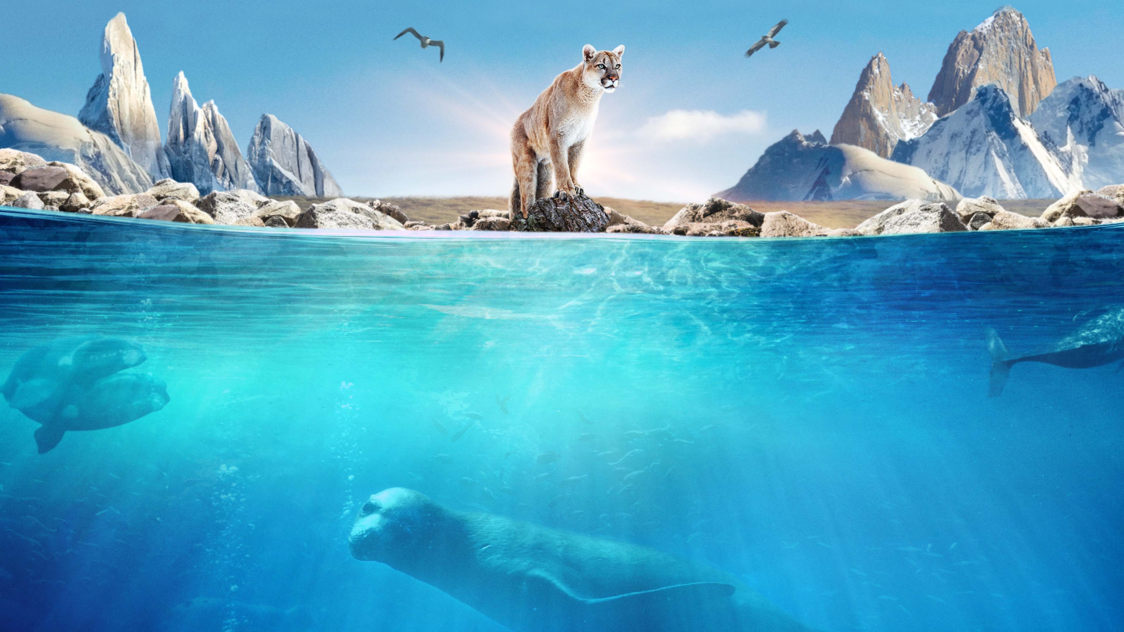 Prime Video Patagônia Extraordinária Season 1