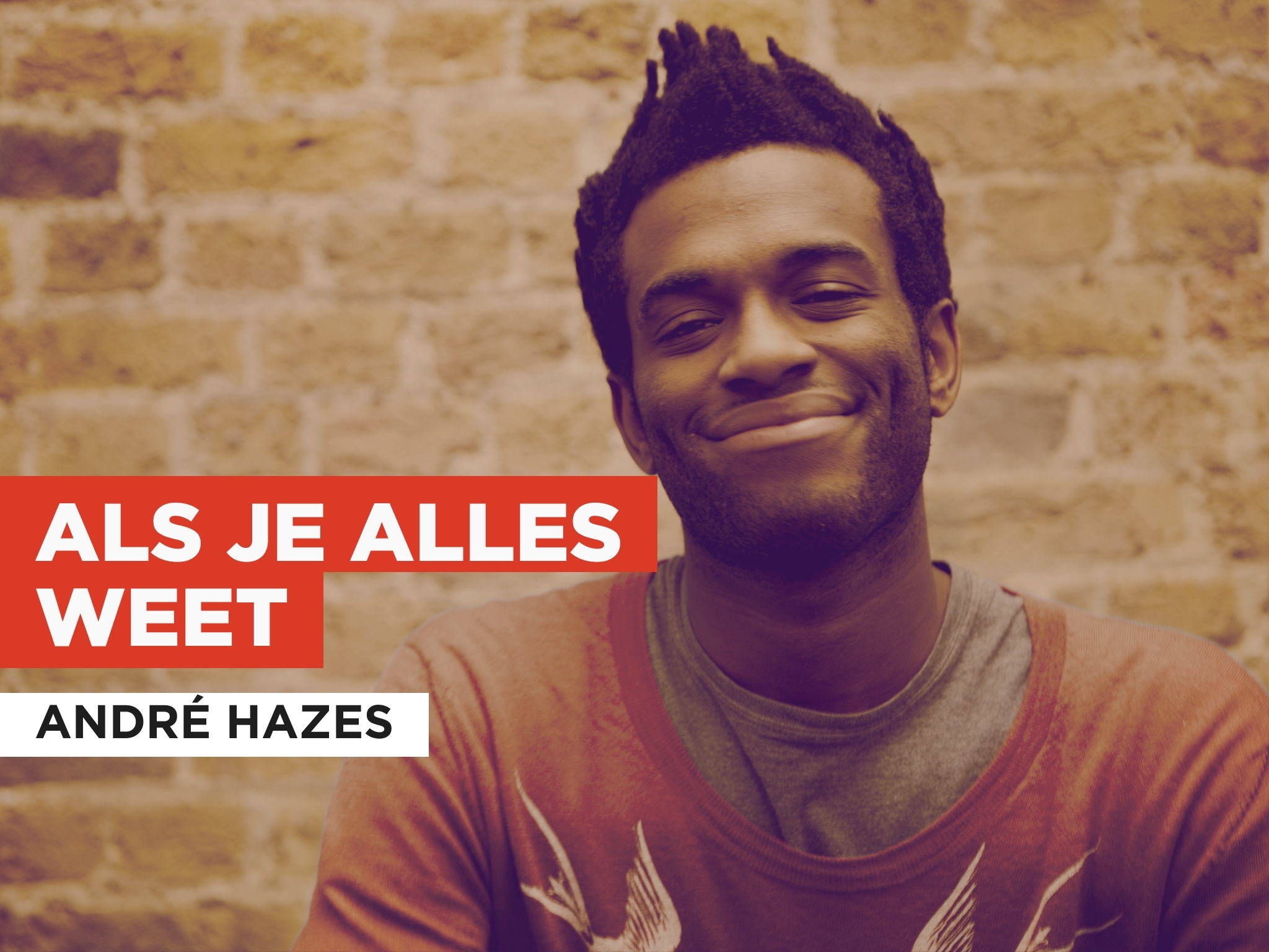 Prime Video: Als je alles weet in the Style of André Hazes