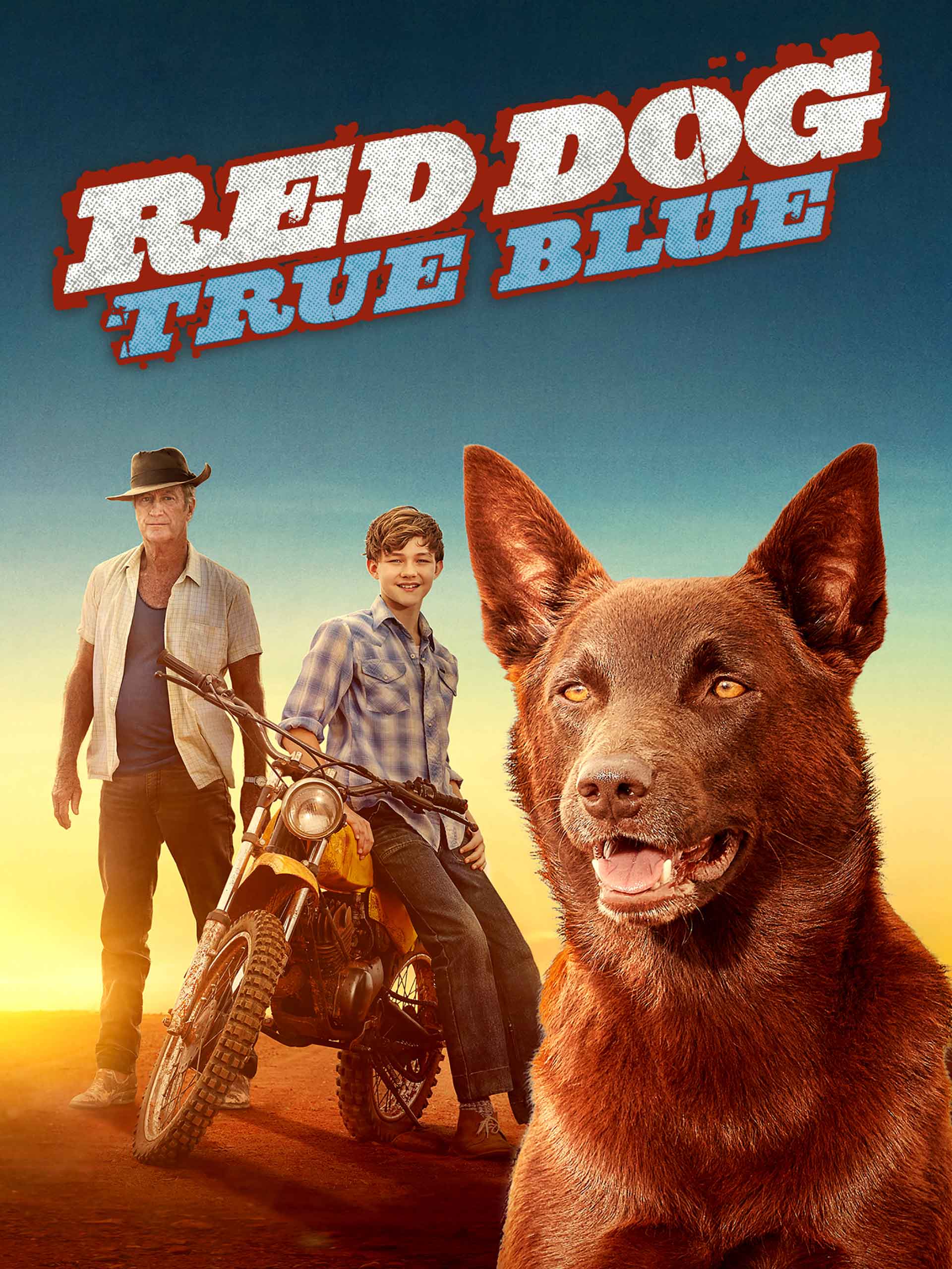 Prime Video Red Dog True Blue