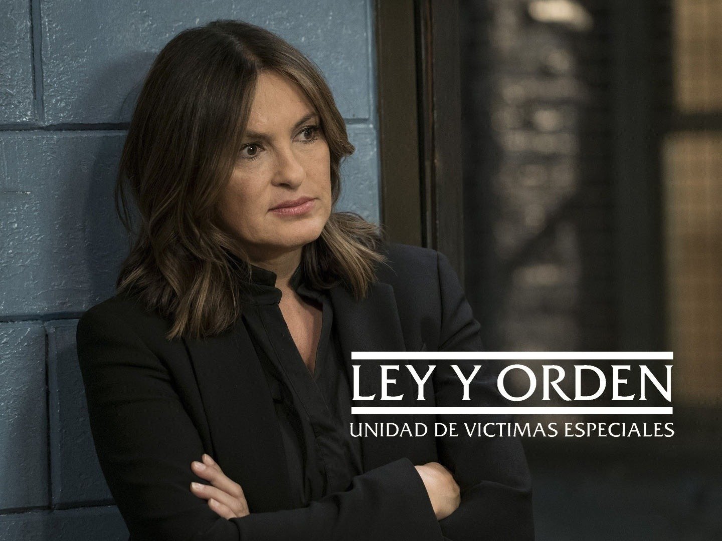 Prime Video: La ley y el orden: Unidad de Víctimas Especiales