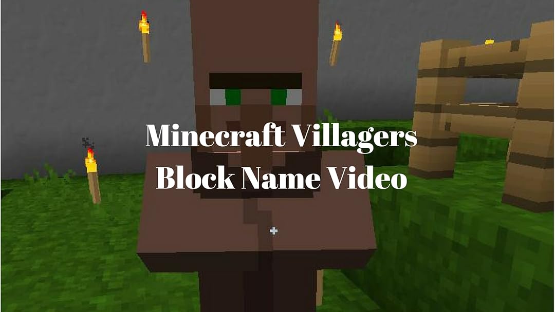 Watch Minecraft Villagers Block Name Video Prime Video