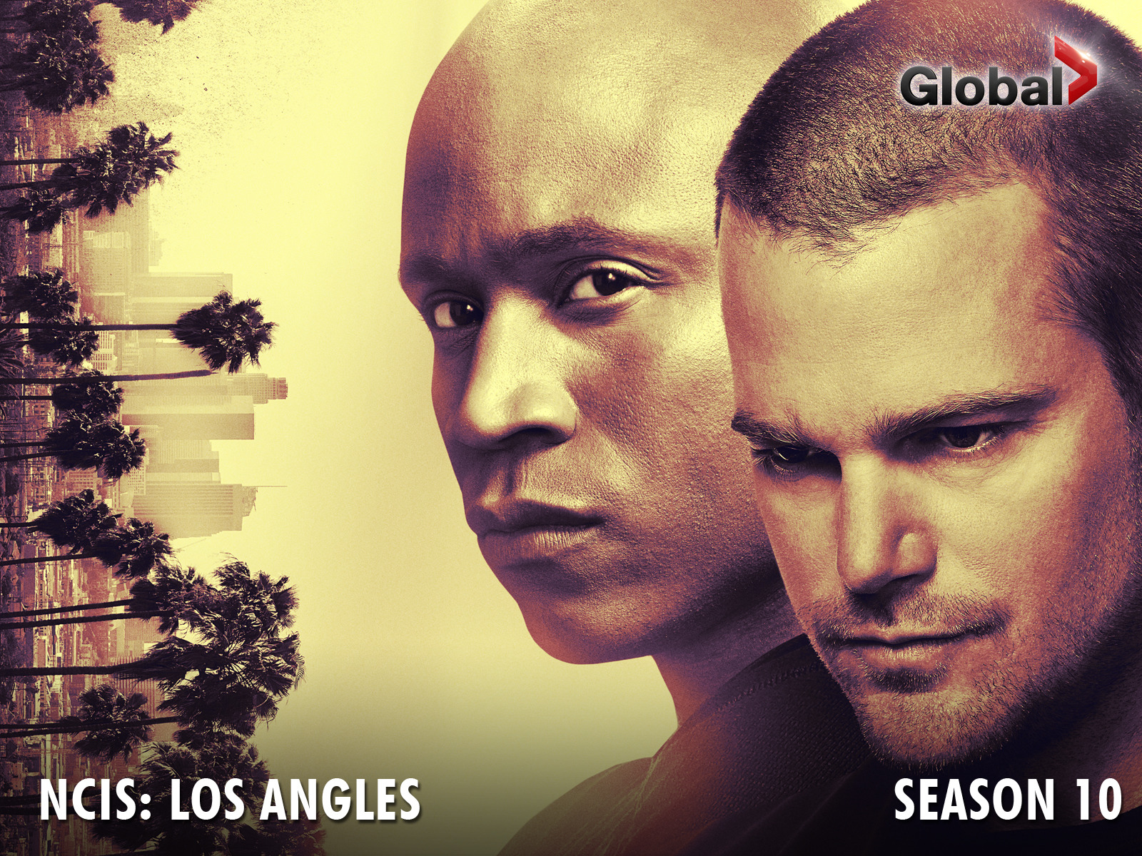 Prime Video: NCIS: Los Angeles - Season 10