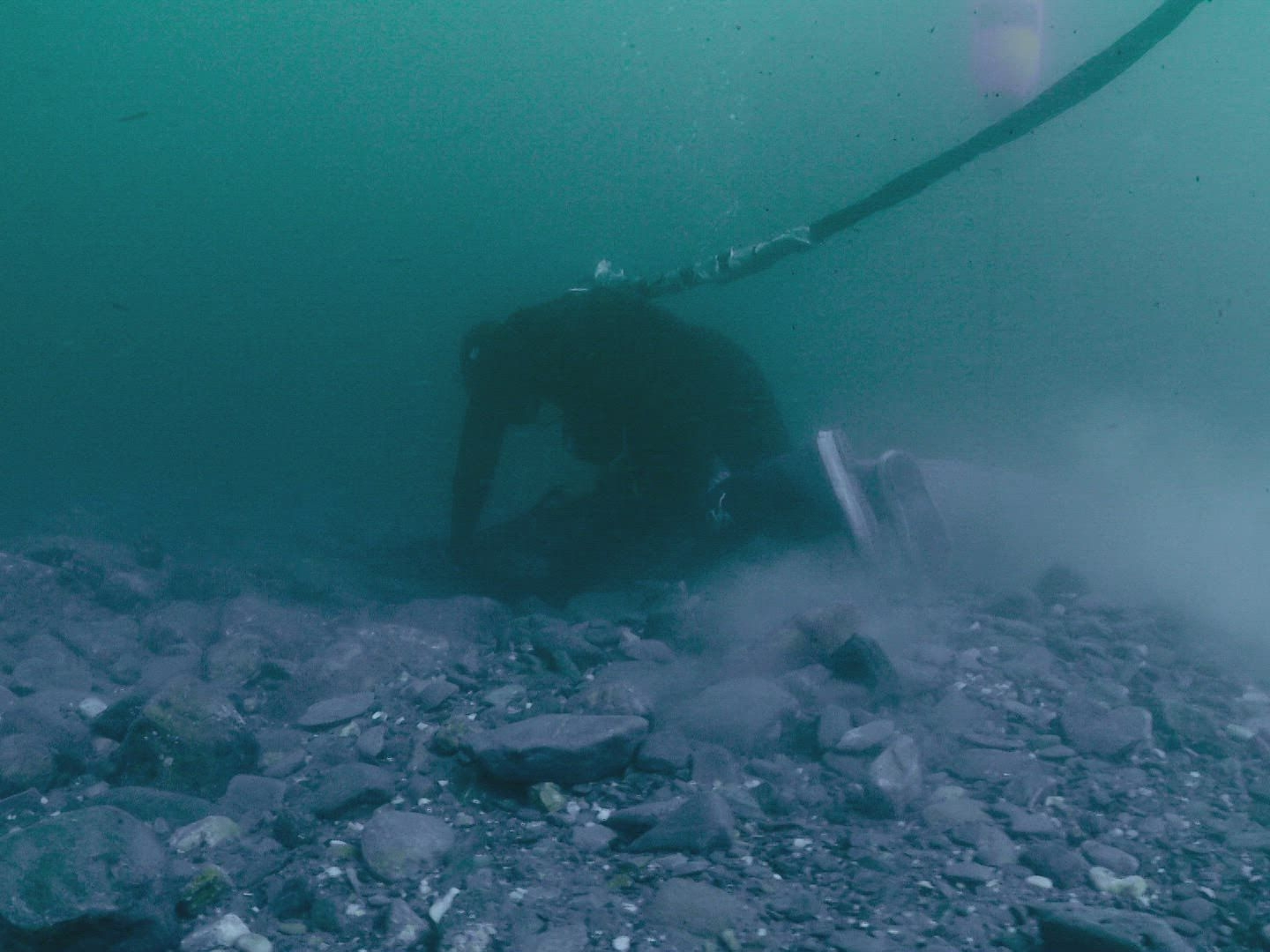 Prime Video Bering Sea Gold Season 2