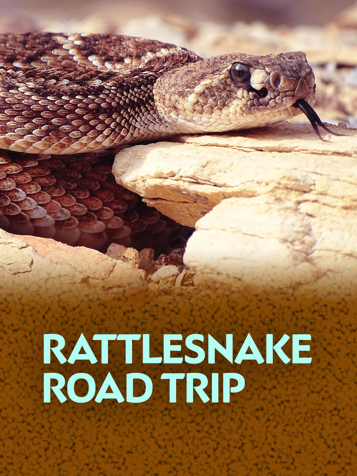Prime Video Rattlesnake Roadtrip
