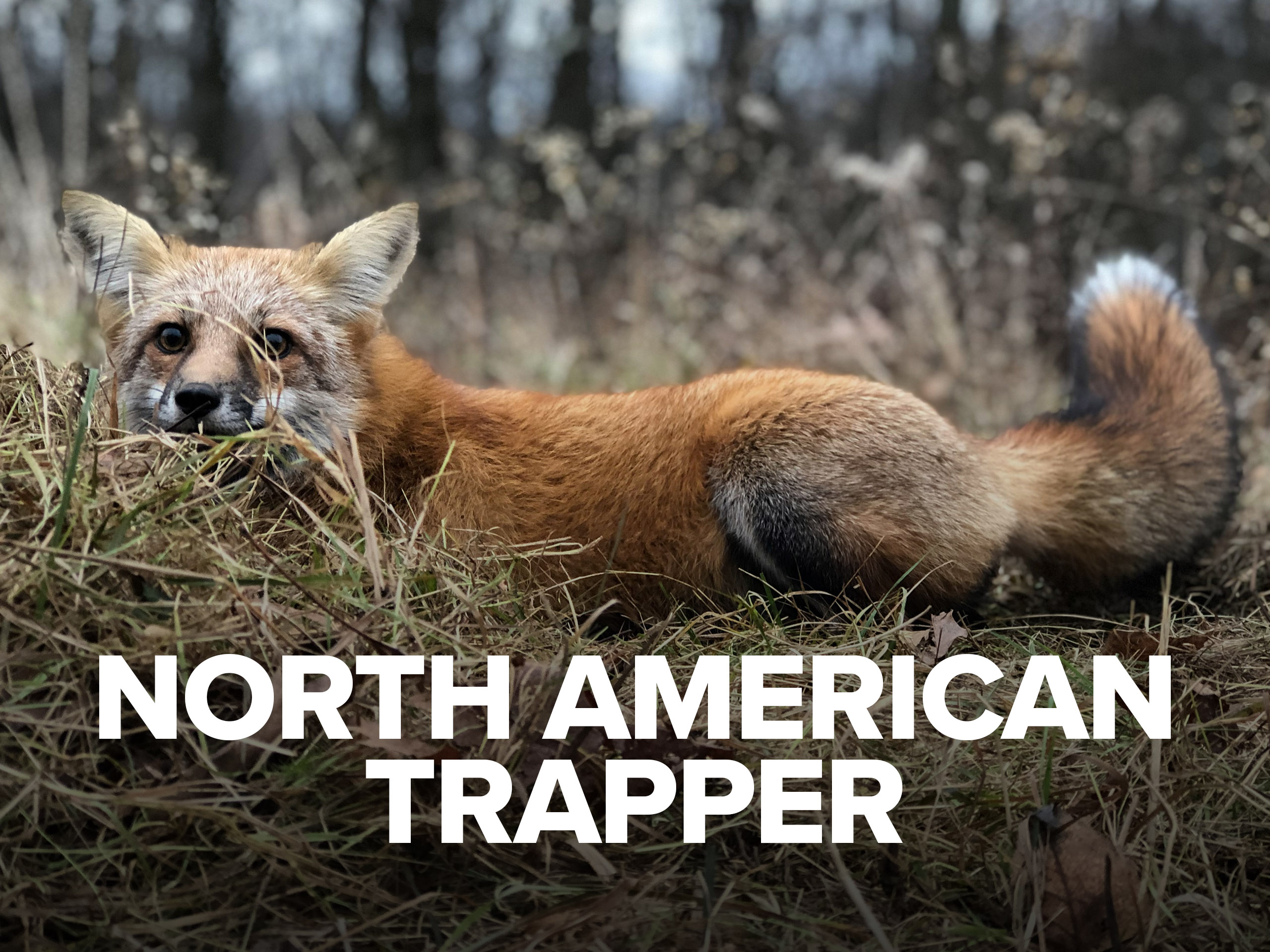 Prime Video North American Trapper Season 3