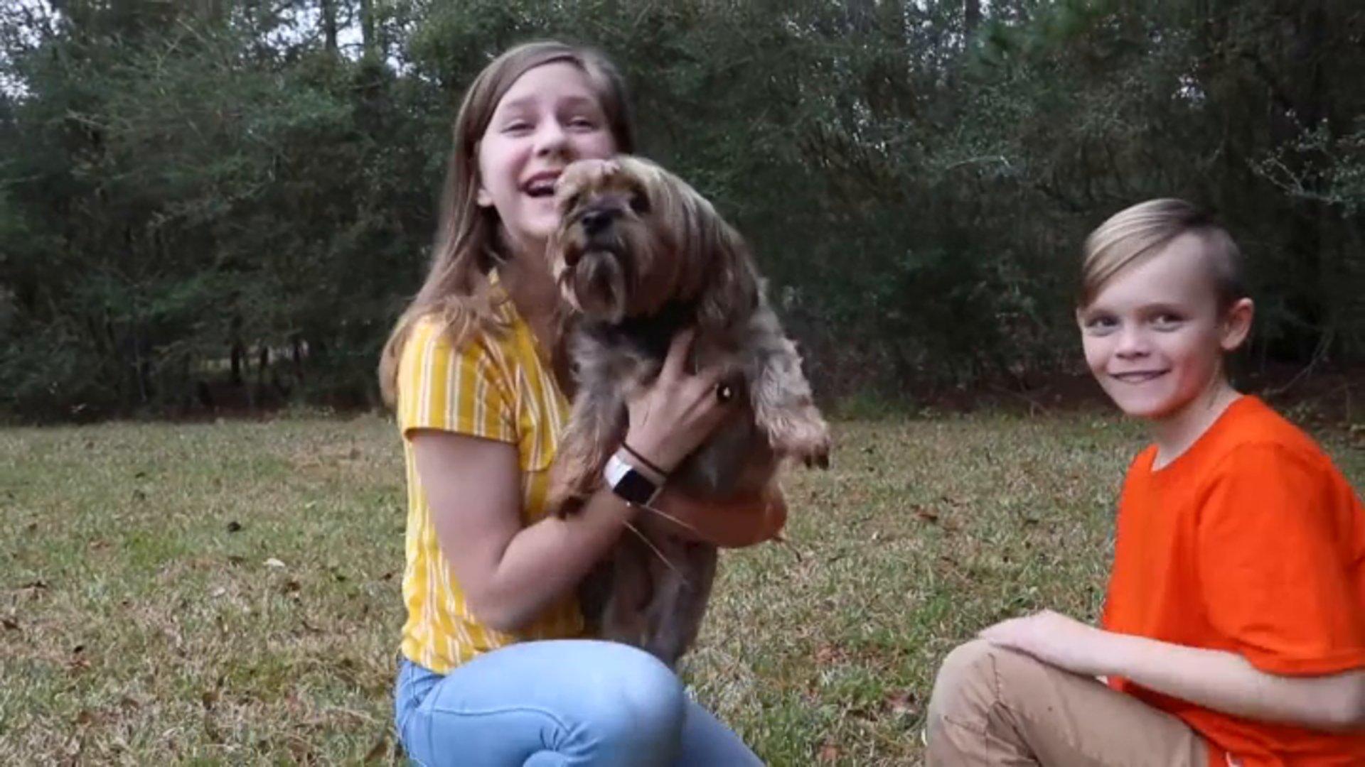 superhero kids bakugan