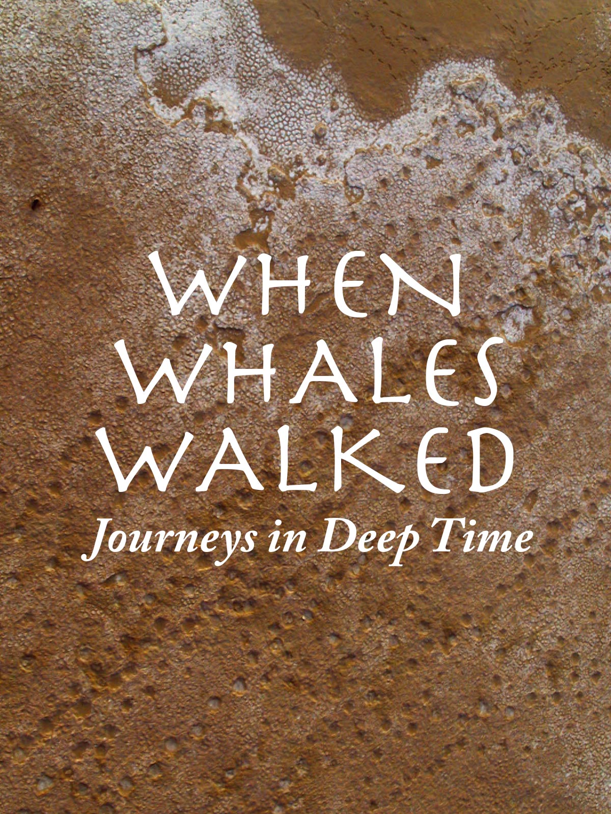 Prime Video When Whales Walked Journeys In Deep Time Prime video when whales walked journeys in deep time