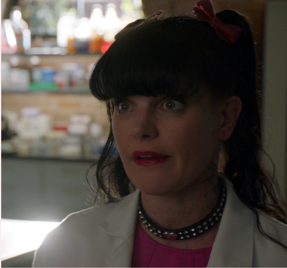 Prime Video NCIS Season 15