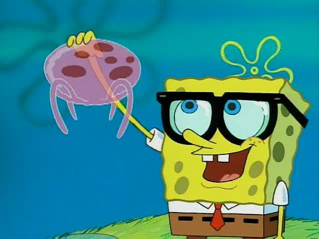 Spongebob Jellyfishing Glasses Spongebob Jellyfishing Glasses