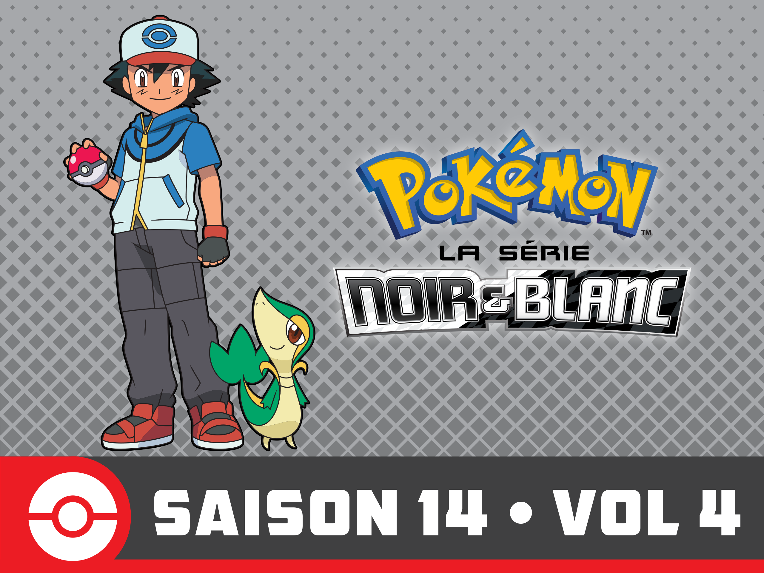 Prime Video: Pokémon, la série : Noir et Blanc