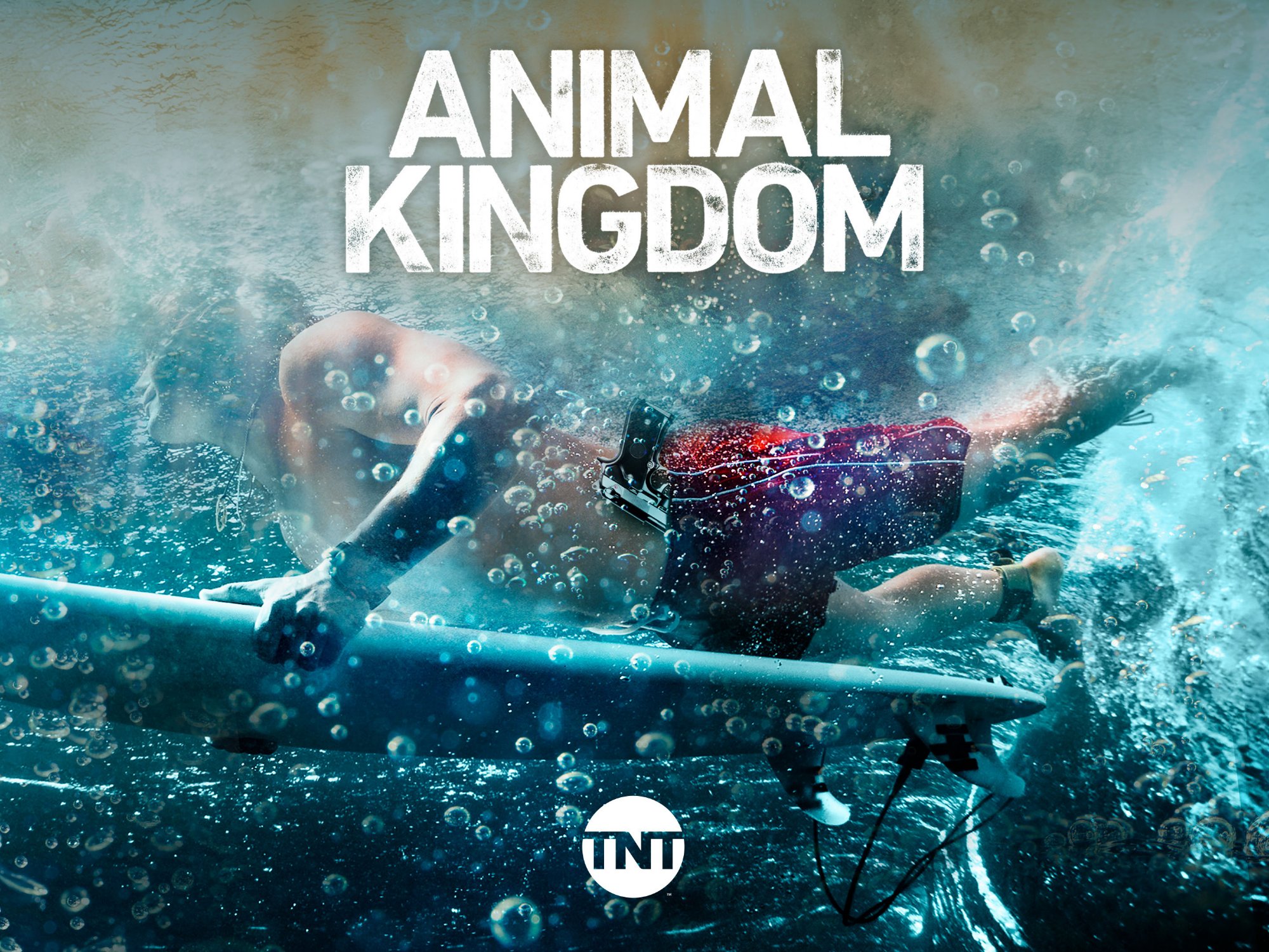 Prime Video Animal Kingdom Season 2
