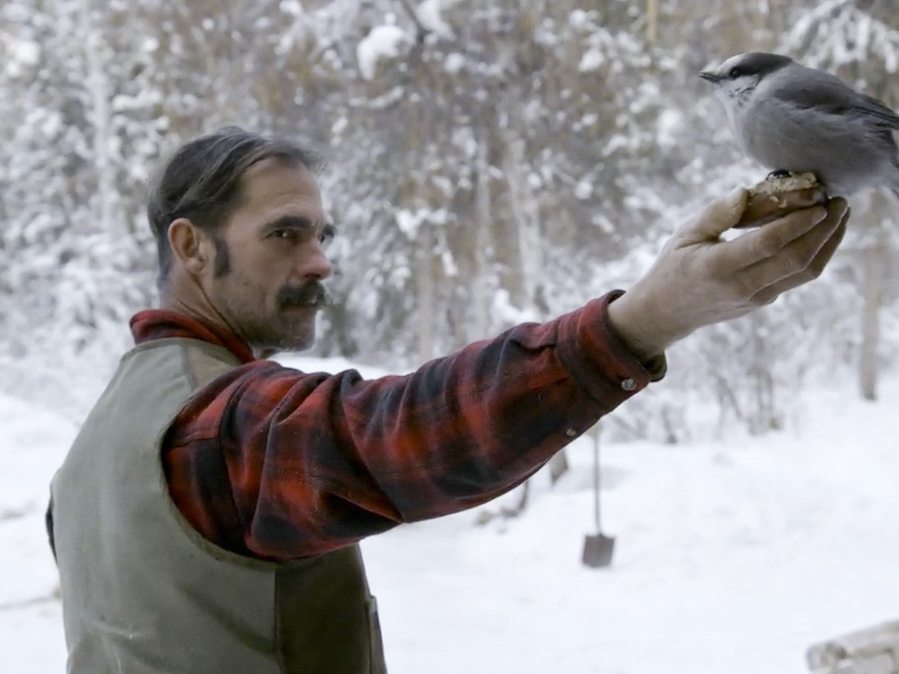 Prime Video: The Last Alaskans - Season 1