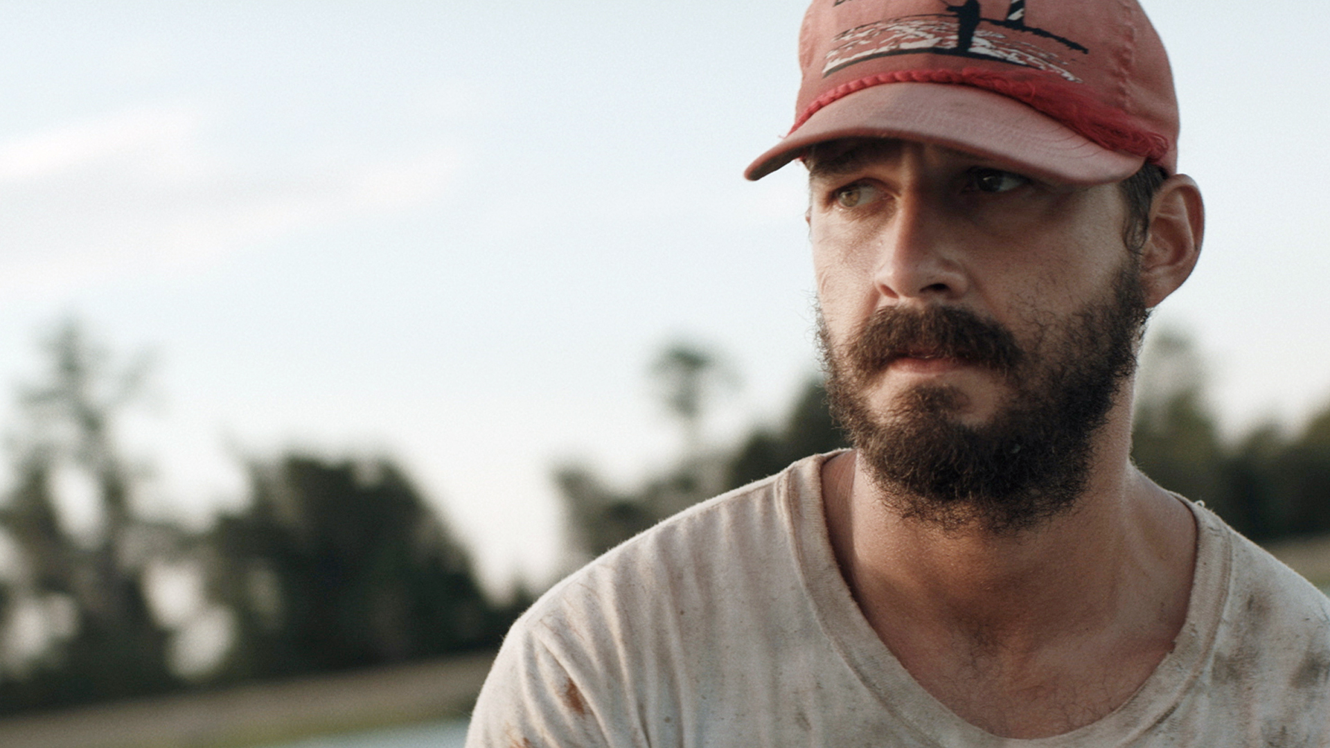 Prime Video The Peanut Butter Falcon