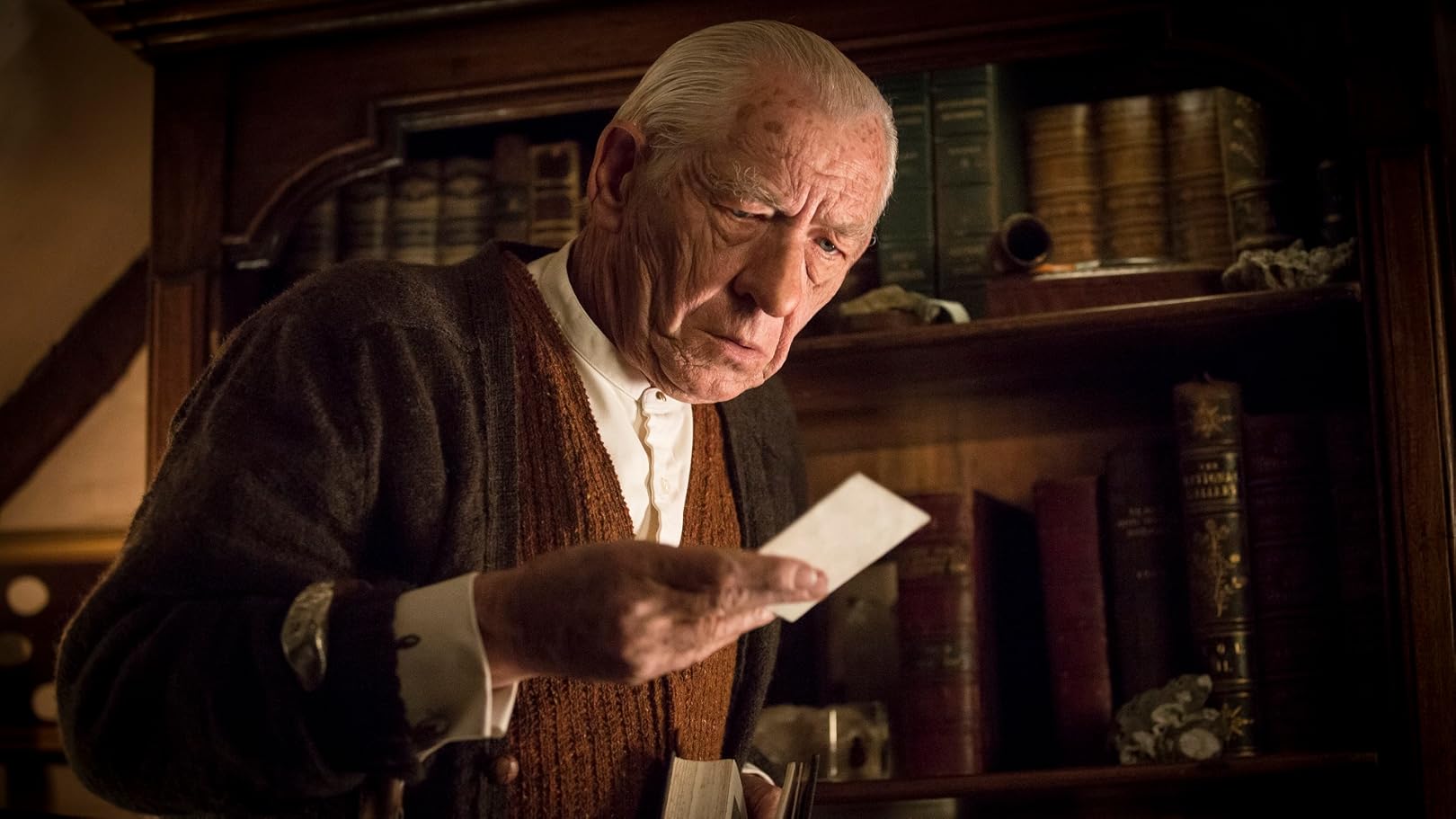 Mr Holmes Il Mistero Del Caso Irrisolto