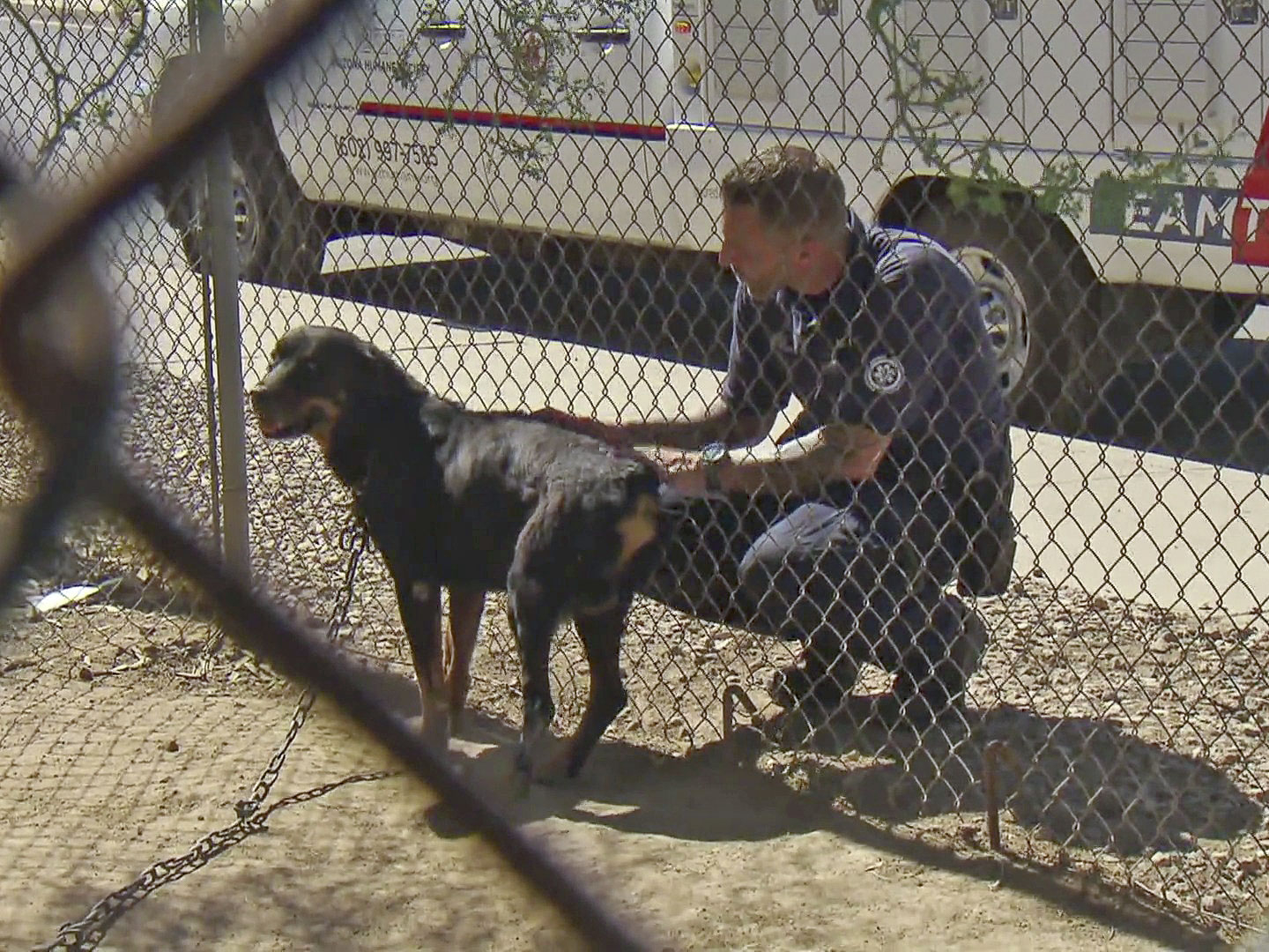 Prime Video Animal Cops Phoenix Season 20