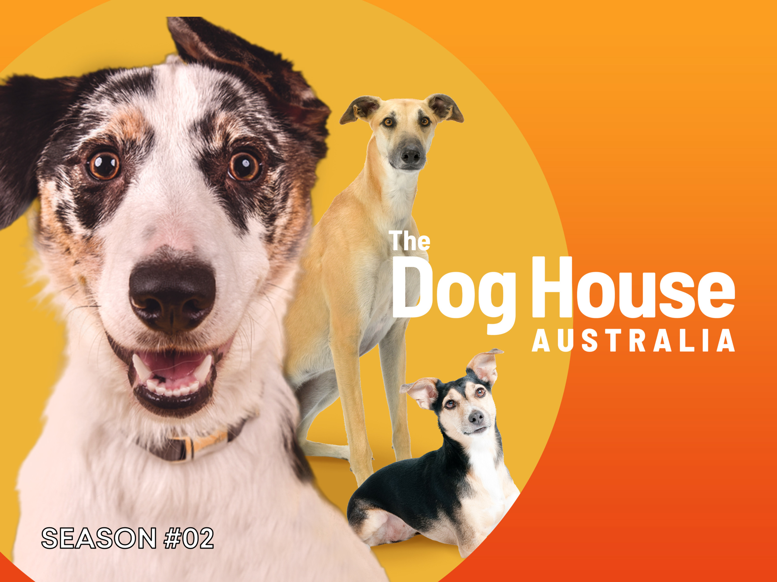 Prime Video The Dog House Australia Season 2