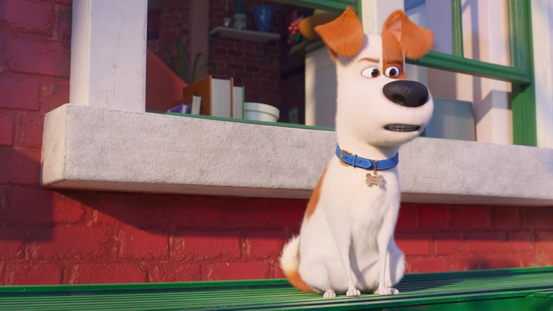 Prime Video Secret Life Of Pets 2 The Int L Edited