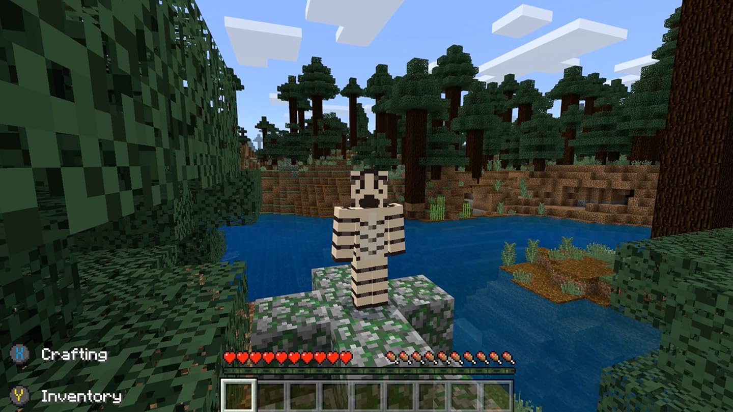 Watch Clip Zebra's Minecraft Fun Zebra Gamer Prime Video