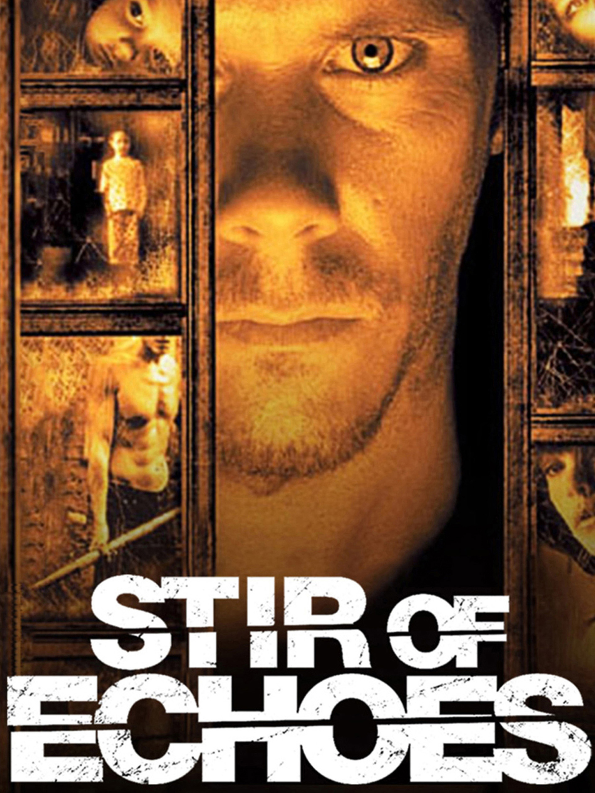 Prime Video Stir of Echoes