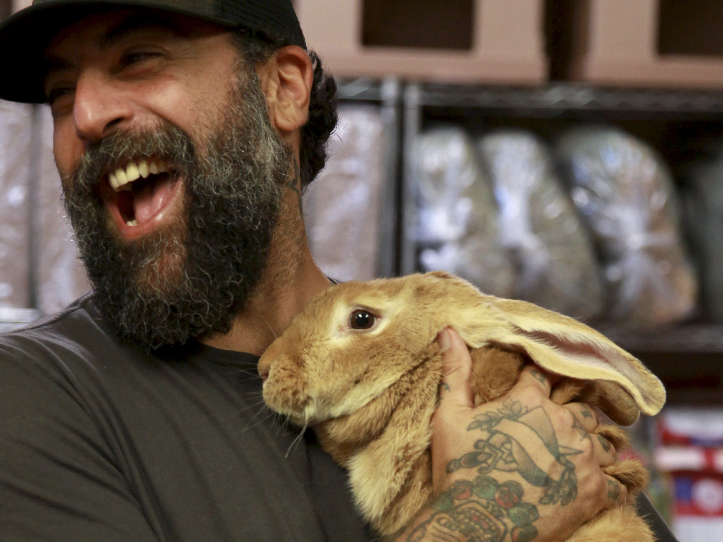 Prime Video Animal Cribs Season 2