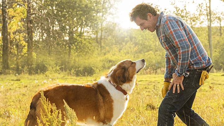 Prime Video: La Razón De Estar Contigo: Un Nuevo Viaje