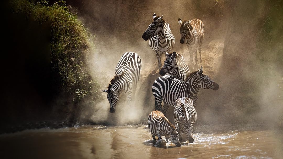Prime Video: Wild Africa: Enchanted Kingdom - Season 1