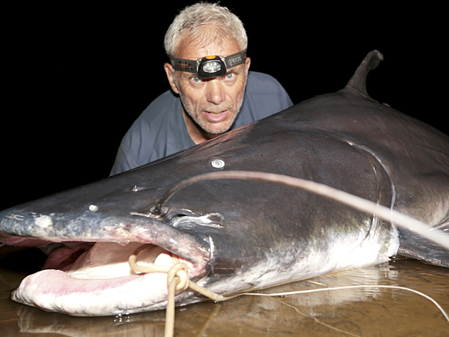 Prime Video River Monsters Season 6