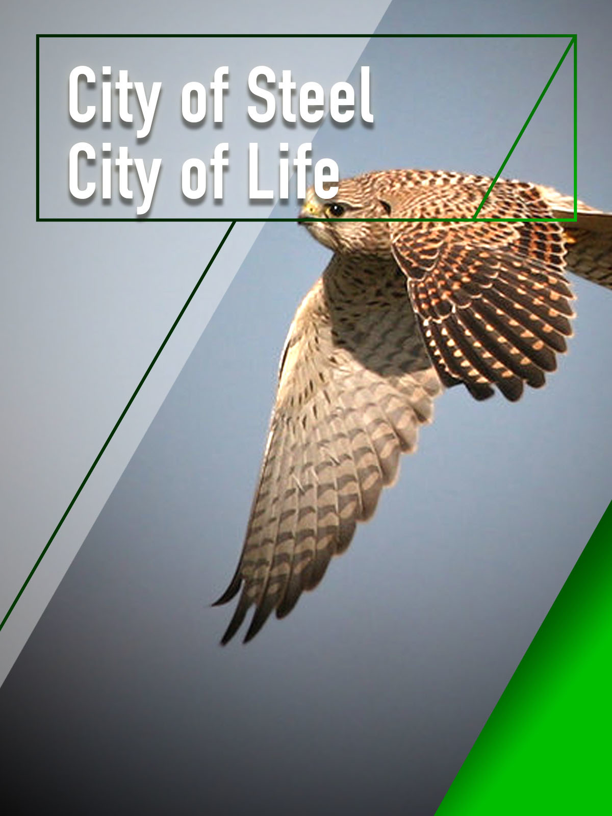Prime Video City Of Steel City Of Life