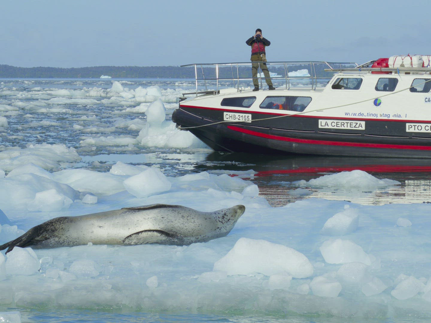 Prime Video Patagônia Extraordinária Season 1