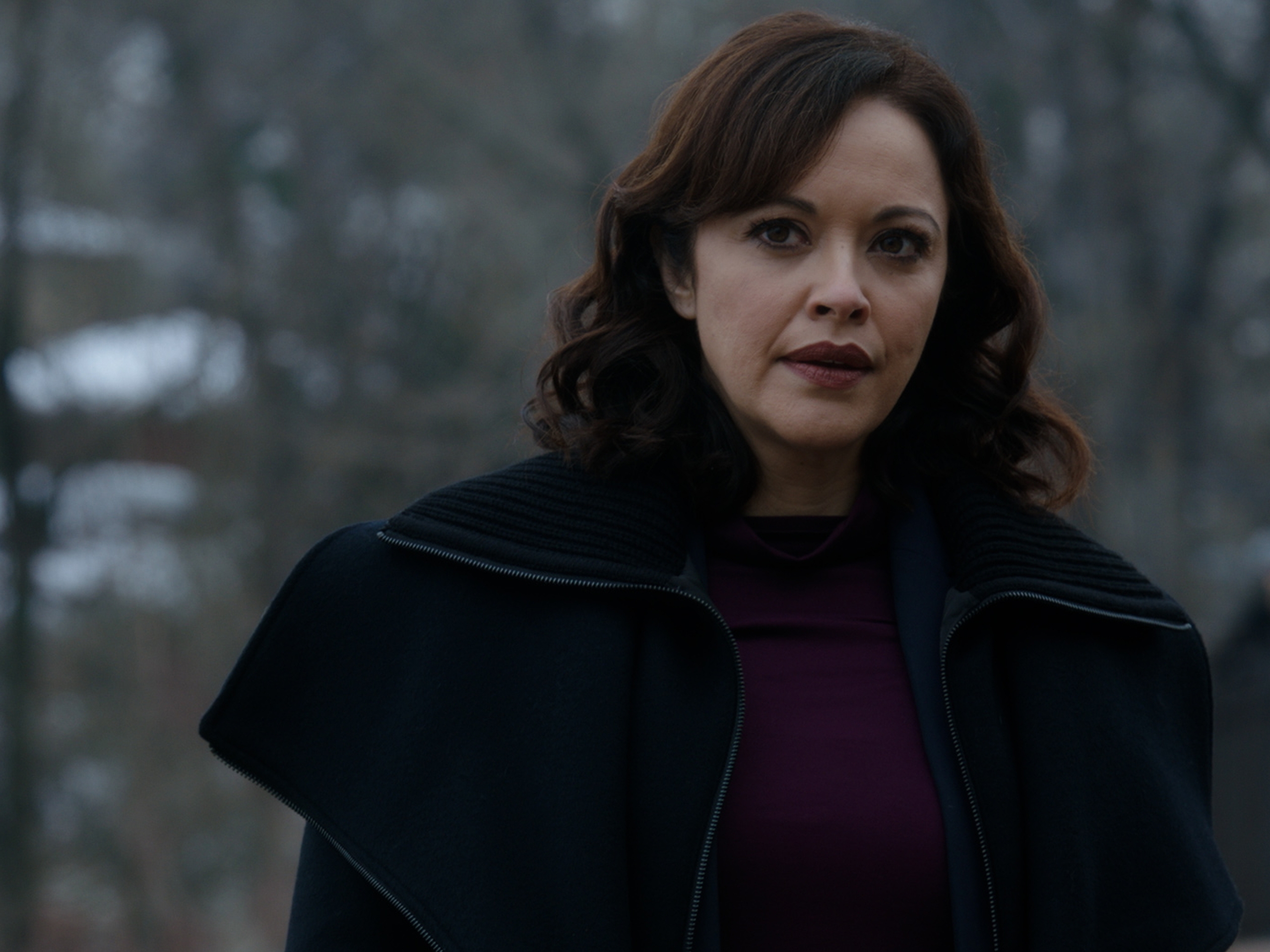 Prime Video: Blue Bloods - Season 11