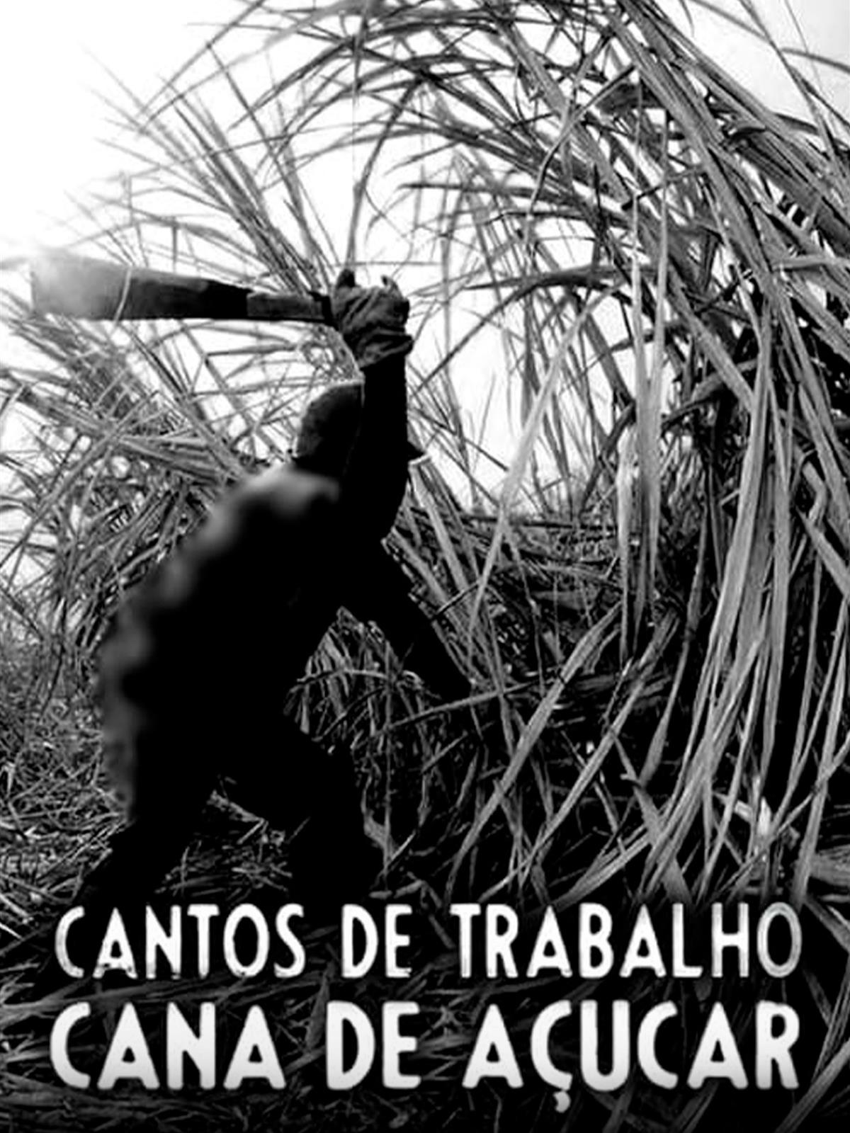 Prime Video Cantos de Trabalho Cana de Açúcar Prime Video Cantos de Trabalho Cana de Açúcar