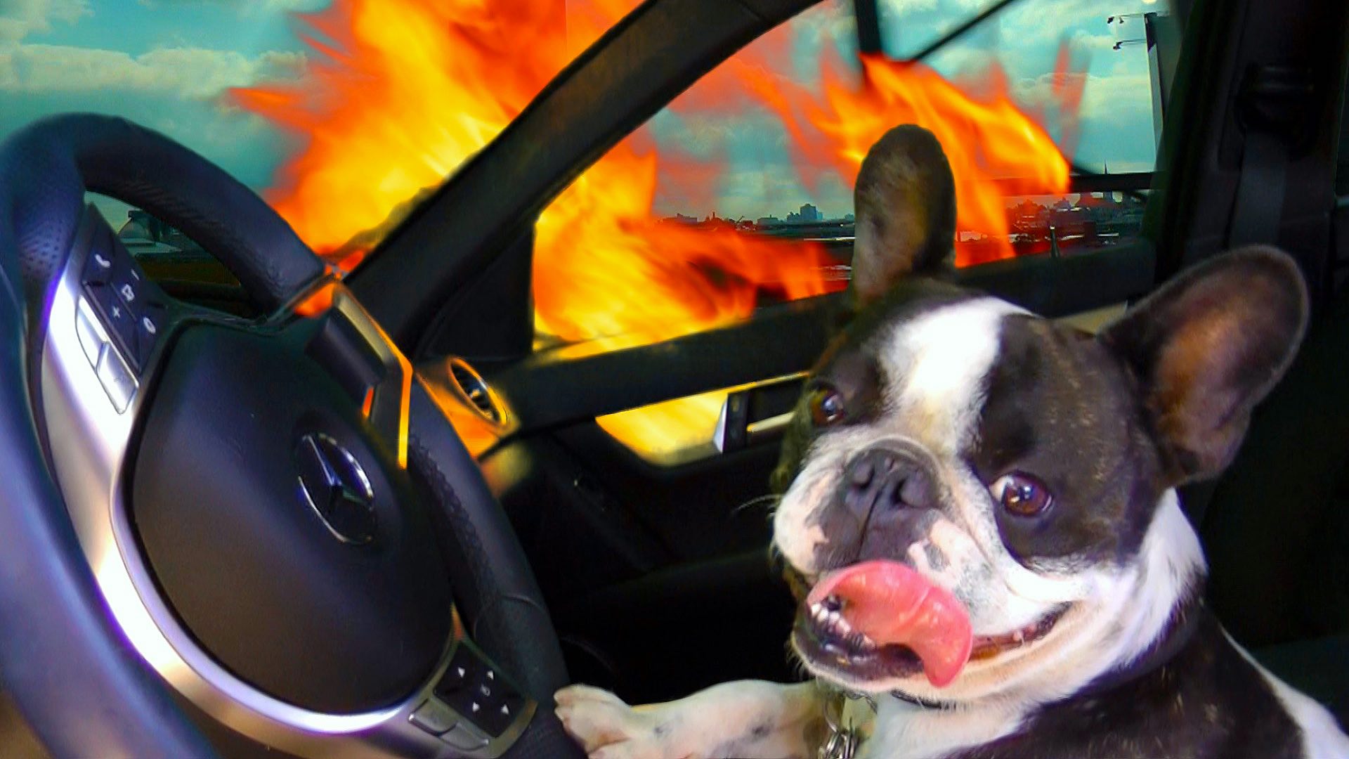 Watch Brooklyn Prime Video