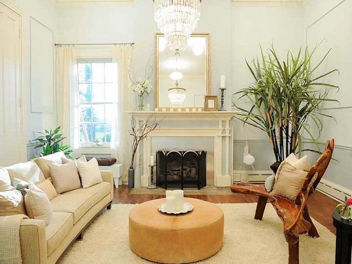 Prime Video HGTV Design Star Season 3