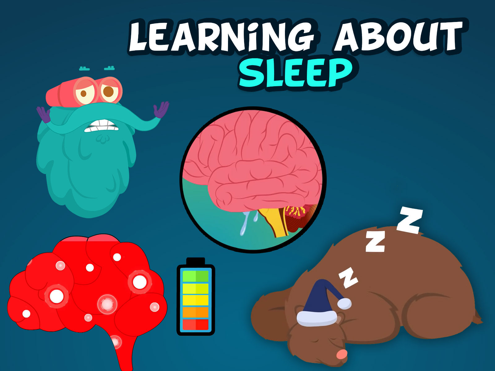 Prime Video Learn With Dr. Binocs