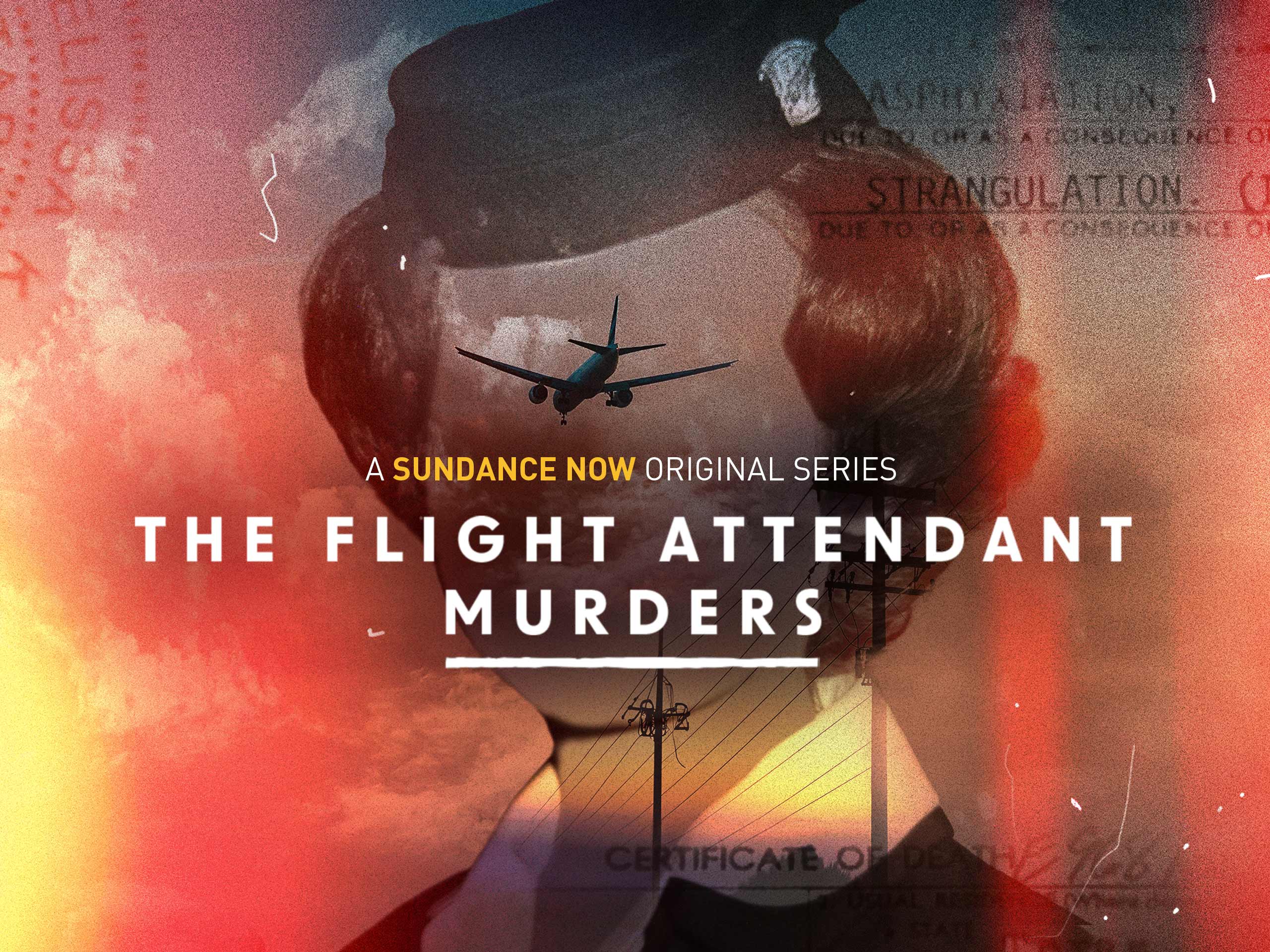 Prime Video The Flight Attendant Murders Season 1