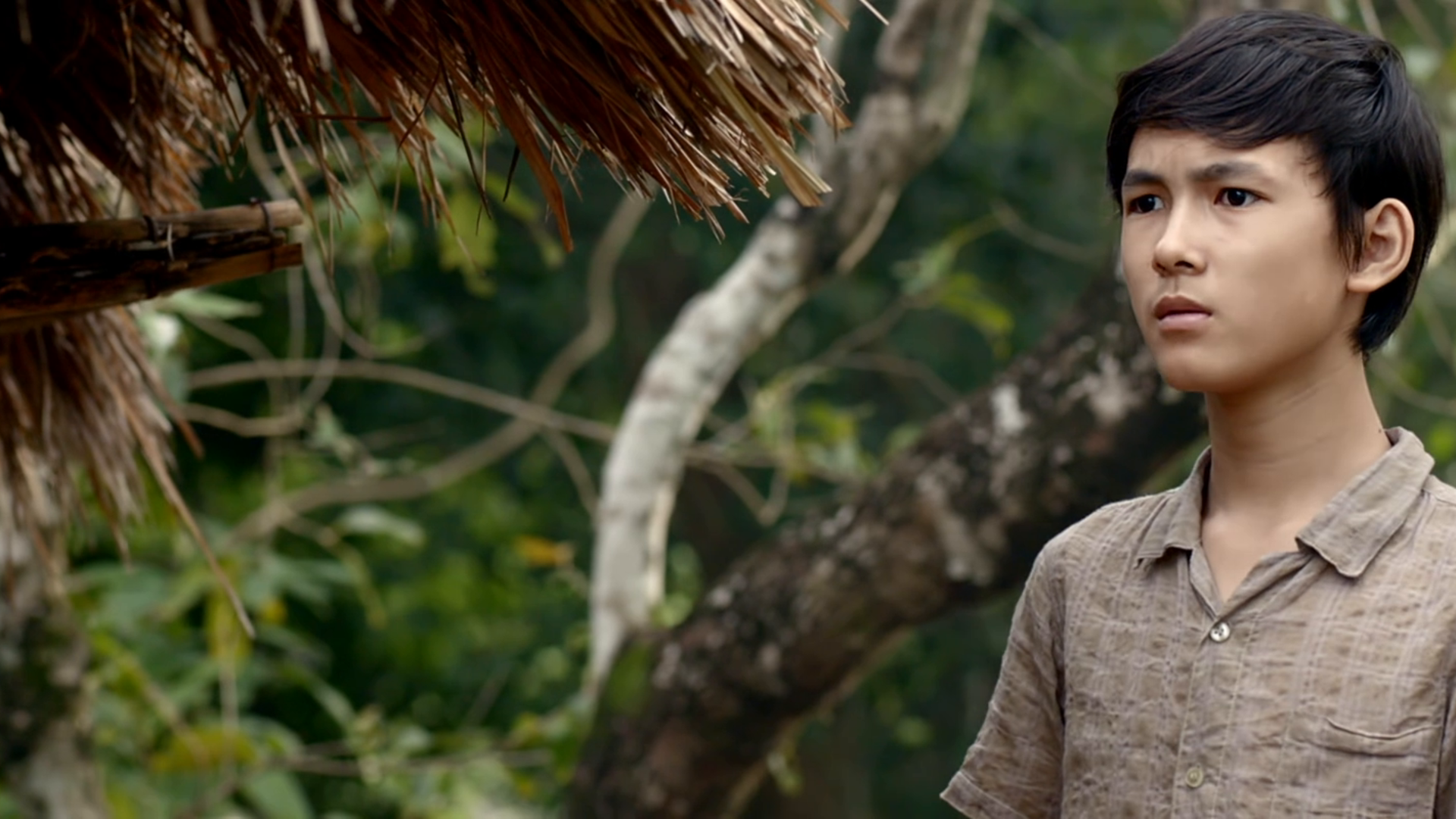 Amazon Co Jp 草原に黄色い花を見つける 字幕版 を観る Prime Video