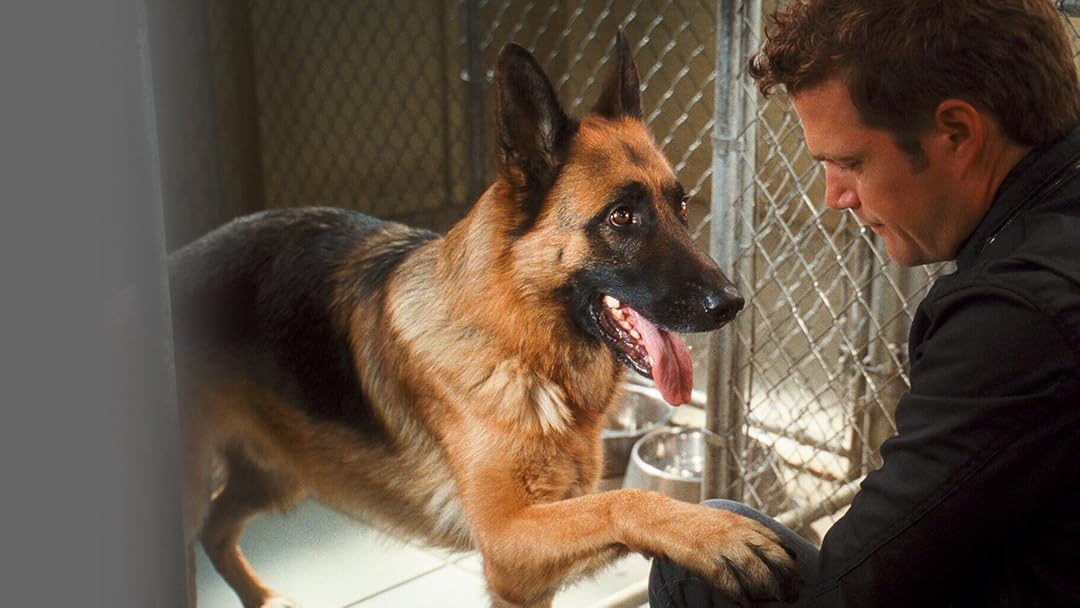 Prime Video Cats Dogs 2 The Revenge Of Kitty Galore Prime Video Cats Dogs 2 The Revenge Of Kitty Galore