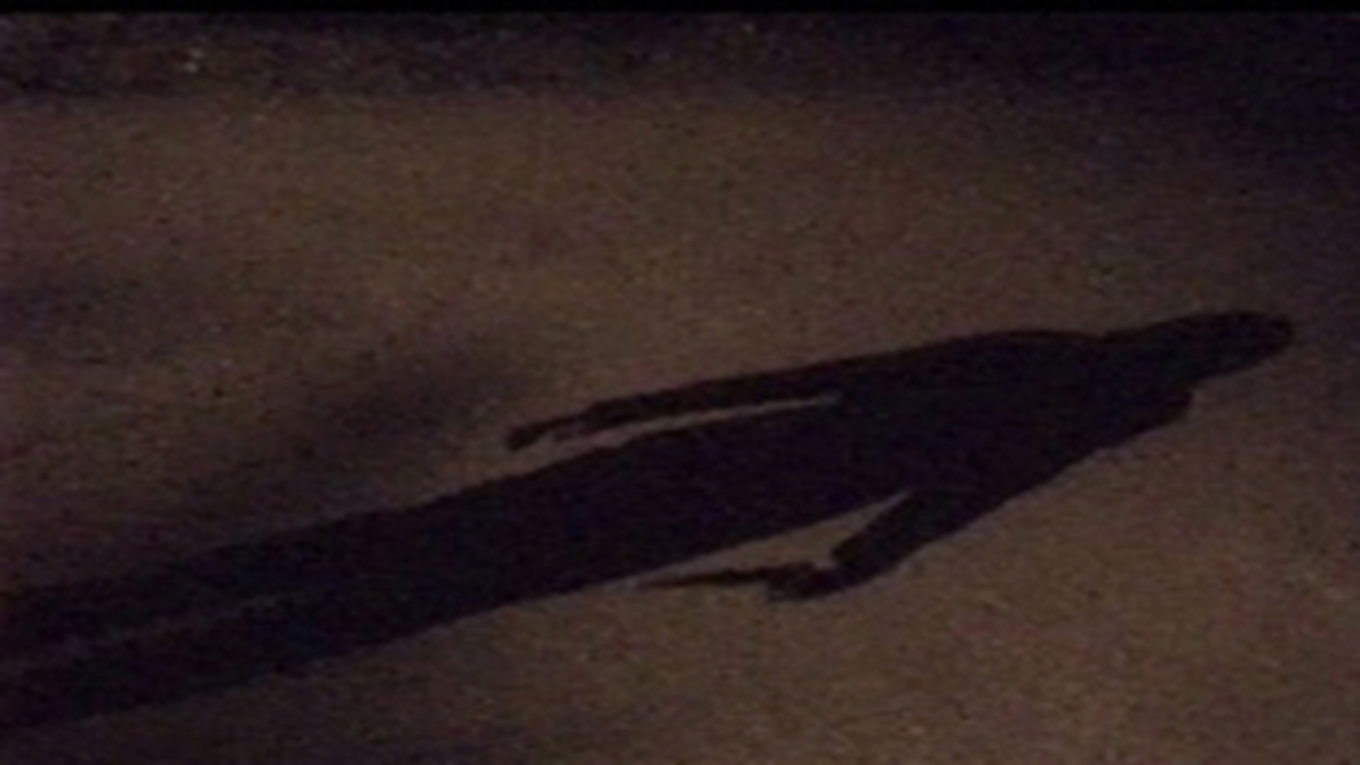 Watch The Chameleon Killer Prime Video