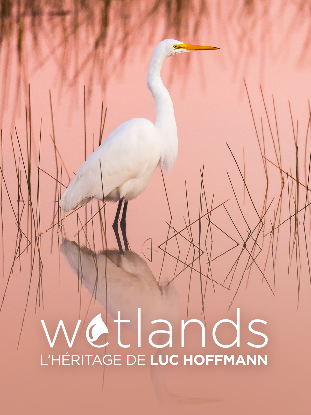 Ridem Wetlands Permit Search - 50ttf9c