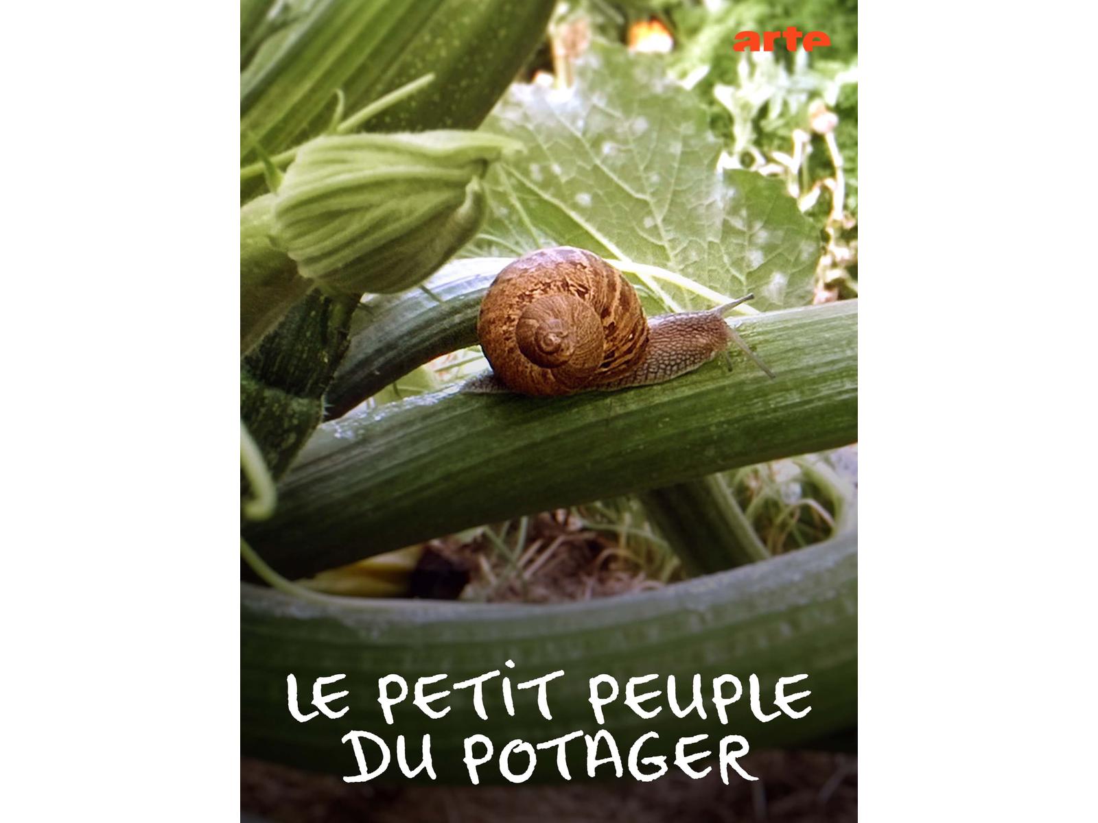 Prime Video Le petit peuple du potager Saison 1