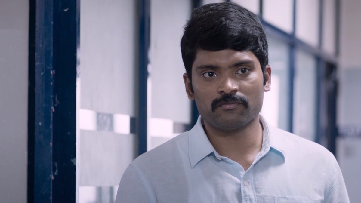 WAR CAKE WATCH ONLINE QUANDO ESCE